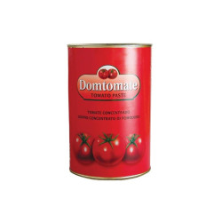 Doppeltes Tomatenkonzentrat - Domtomate - 800g