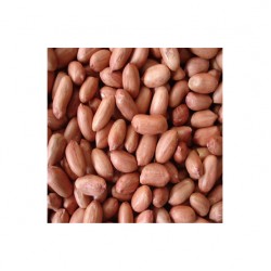 Erdnüsse oder geschälte rohe Erdnüsse – 1kg